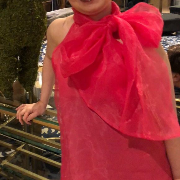 Zara Tops Zara Hot Pink Organza Bow Top Poshmark